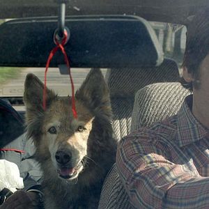 Photo Ernesto Suárez (II)