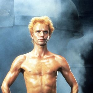 Photo Sting