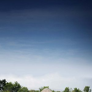 Photo Les Pieds sur terre