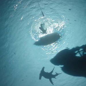 Photo Pirates des Caraïbes : la Vengeance de Salazar