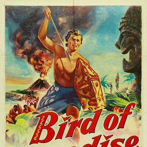 Photo L'Oiseau de Paradis