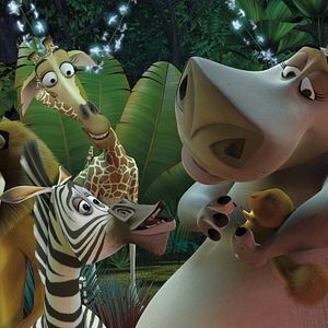 Madagascar : Photos et affiches - AlloCiné