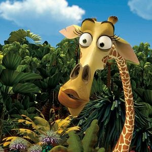Photo Madagascar