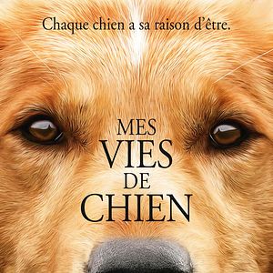 Photo Mes vies de chien