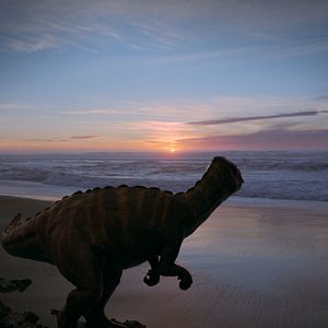 Photo Voyage of Time : Au fil de la vie