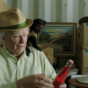 Photo Robert Gustafsson