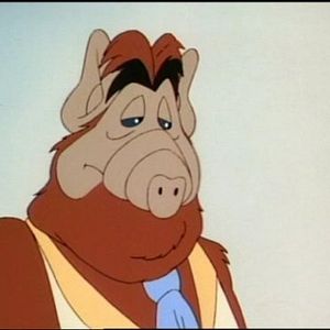 Photo Du Côté de chez Alf