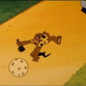 Photo Du Côté de chez Alf