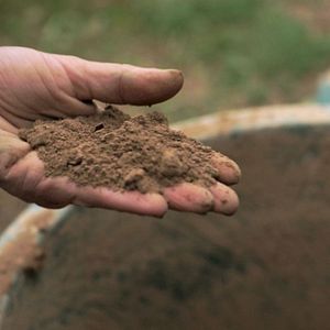 Photo L'éveil de la permaculture