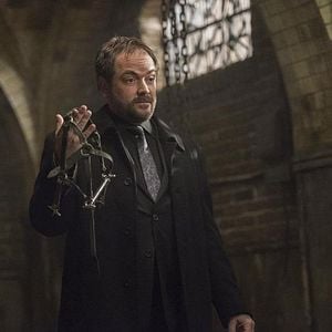 Photo Mark Sheppard