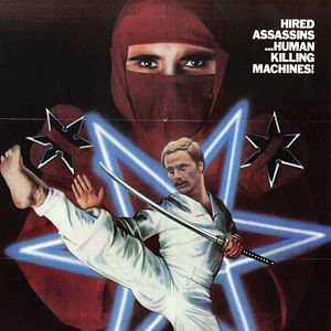 Photo L'Implacable Ninja