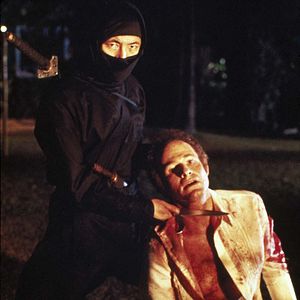 Photo L'Implacable Ninja