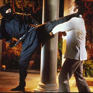 Photo L'Implacable Ninja