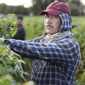 Photo Benito Martinez