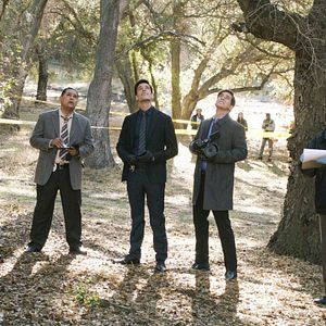 Photo Michael Paul Chan