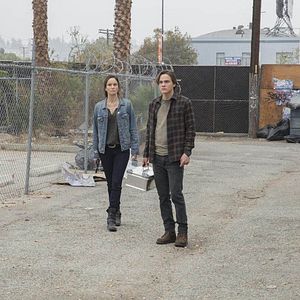 Photo Alex Neustaedter