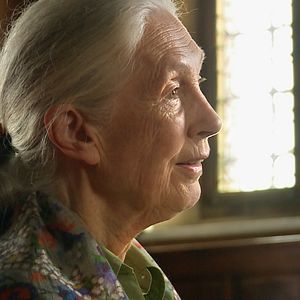 Photo Jane Goodall