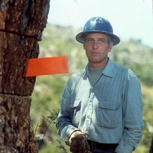 Photo Paul Newman