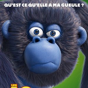Photo Les As de la Jungle