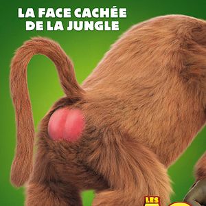 Photo Les As de la Jungle