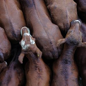 Photo Histoires de la plaine