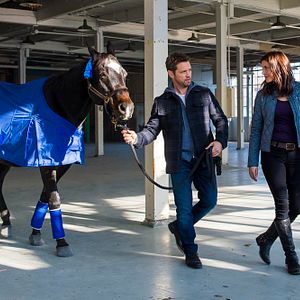 Photo Jason Priestley