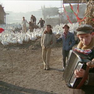 Photo J'ai même rencontré des tziganes heureux