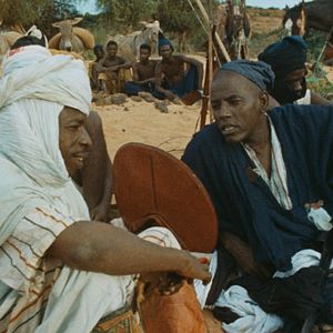 Photo Babatu, les trois conseils