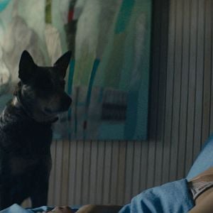 Photo Antonia Zegers