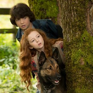 Photo Francesca Capaldi