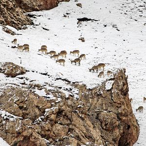 Photo Nés en Chine