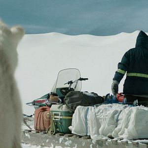 Photo Two Lovers and a Bear