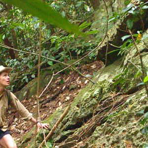 Photo Cyril Descours