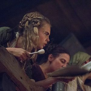 Photo Tulip Fever