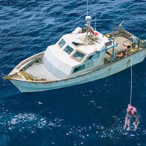 Photo 47 Meters Down