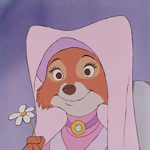 Photo Robin des Bois
