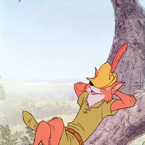 Photo Robin des Bois
