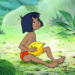 Photo Le Livre de la jungle