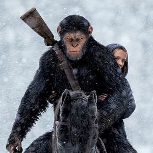 Photo La Planète des Singes - Suprématie