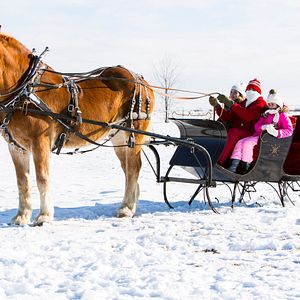 Photo Cher Père Noël...