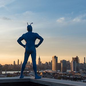 Photo The Tick