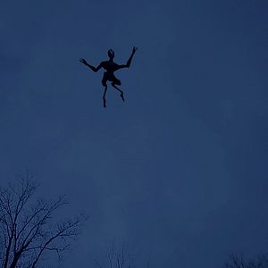 Photo The Gracefield Incident