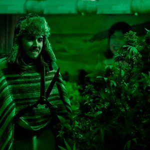 Photo Dougie Baldwin