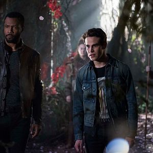 Photo Alberto Rosende