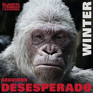 Photo La Planète des Singes - Suprématie