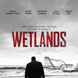 Photo Wetlands