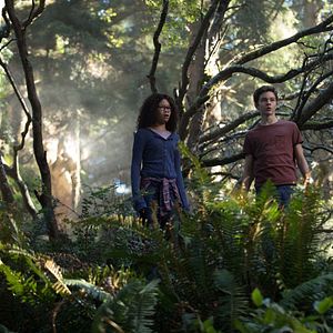 Photo Levi Miller (II)