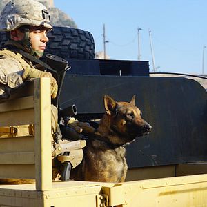Photo Megan Leavey