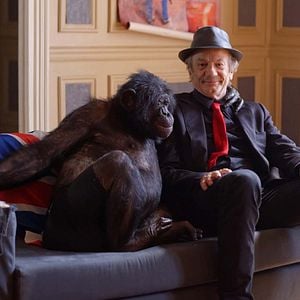 Photo Patrick Chesnais
