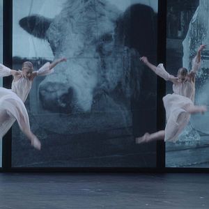 Photo Dans les pas de Trisha Brown - Glacial Decoy à l'Opéra